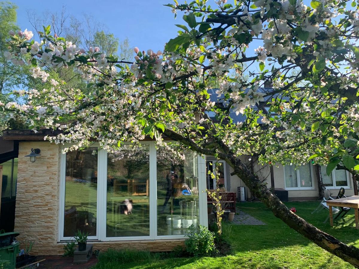 Apartman Marmelada Ctyrkoly Dış mekan fotoğraf
